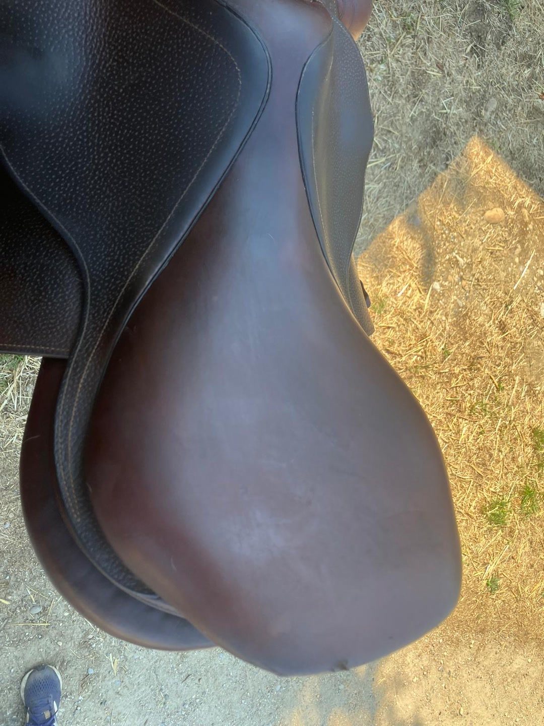 Selle CWD, média 4