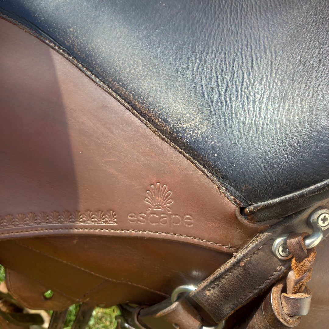 Selle de rando escape, média 7