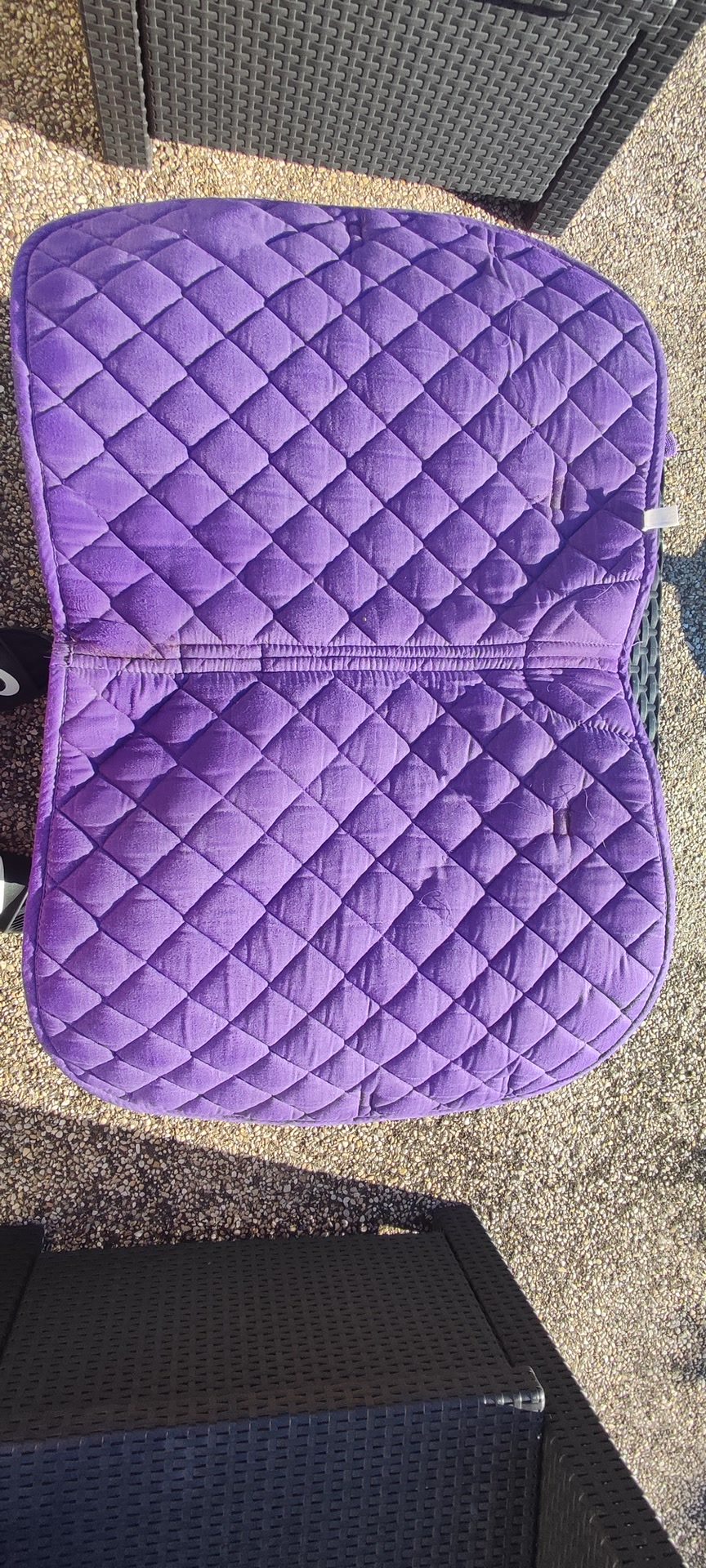 Ensemble violet tapis bonnet guêtres protèges boulet  taille chevall, média 6