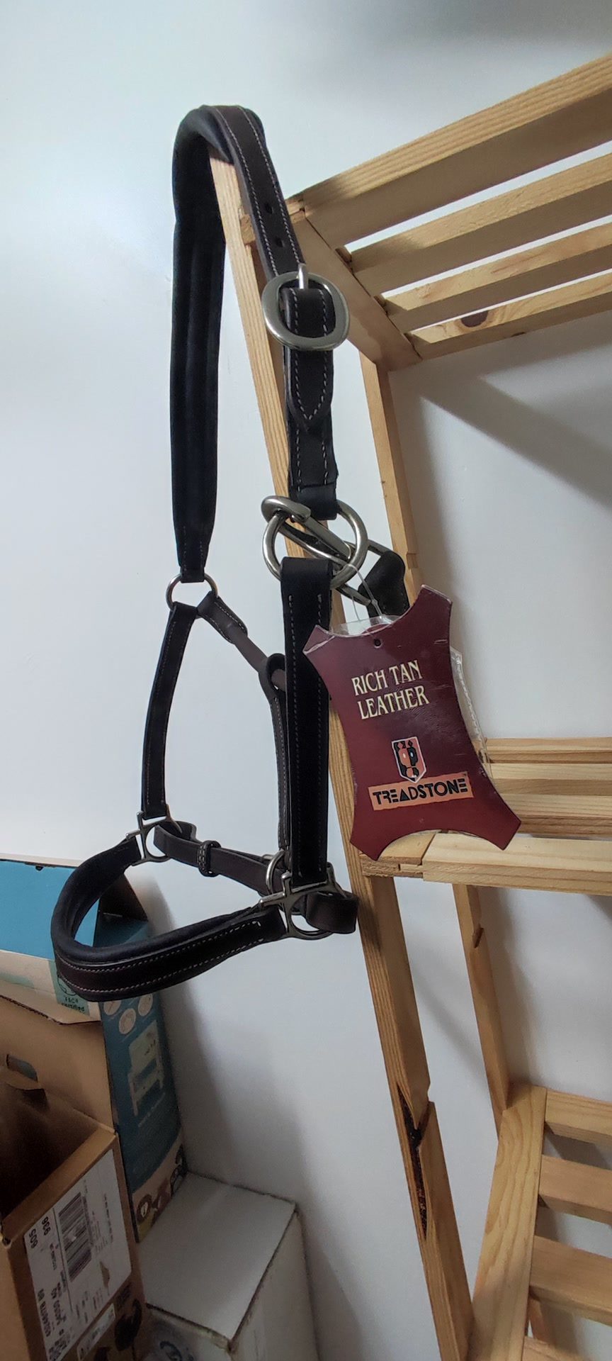 Licol cuir marron cheval jamais servi, média 2