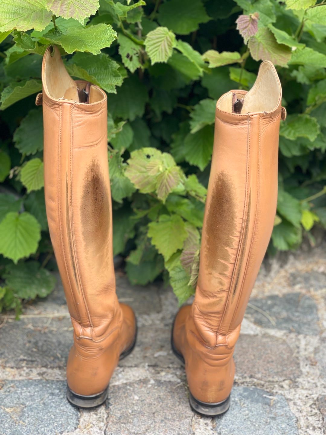 Bottes Derby polo, média 4