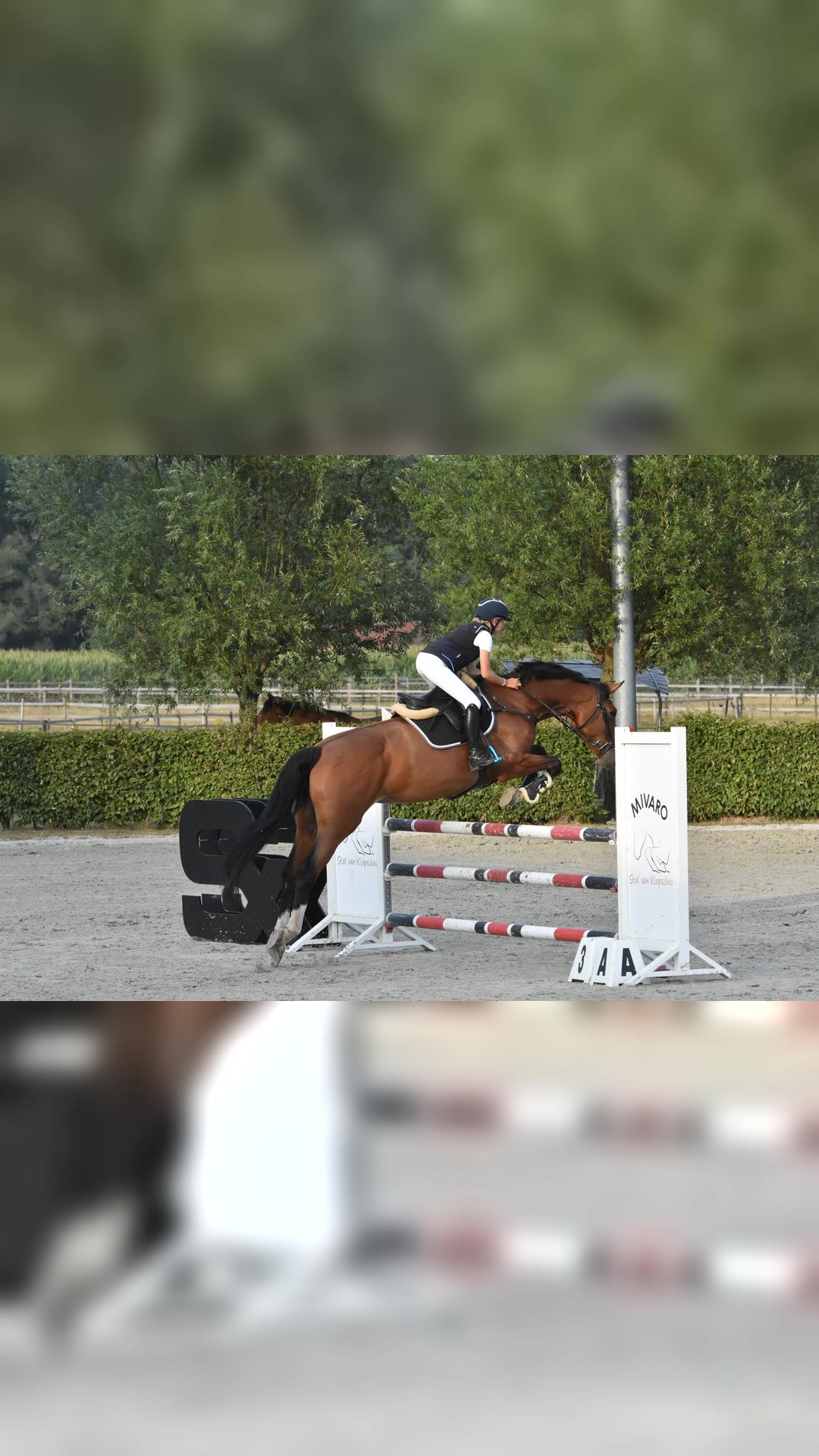 Paard rijlessen op maak, média 2