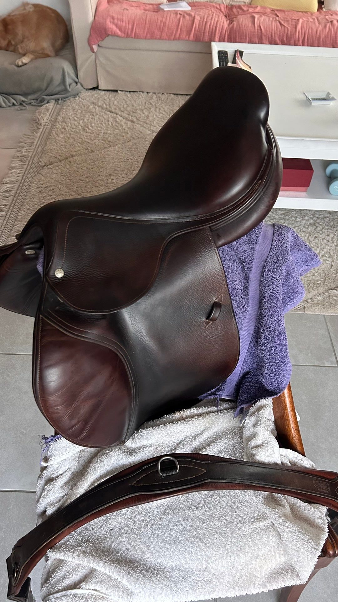 Selle de cheval CWD, média 4