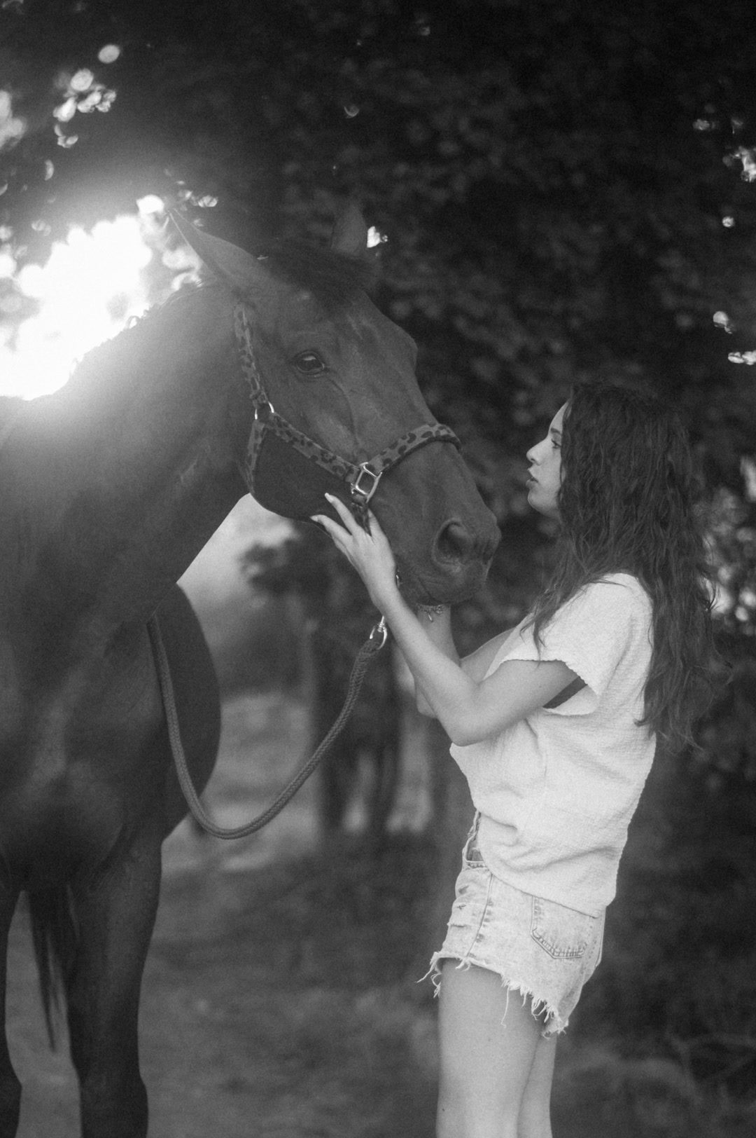 PHOTOGRAPHE - AIMEDITH PHOTO, média 4