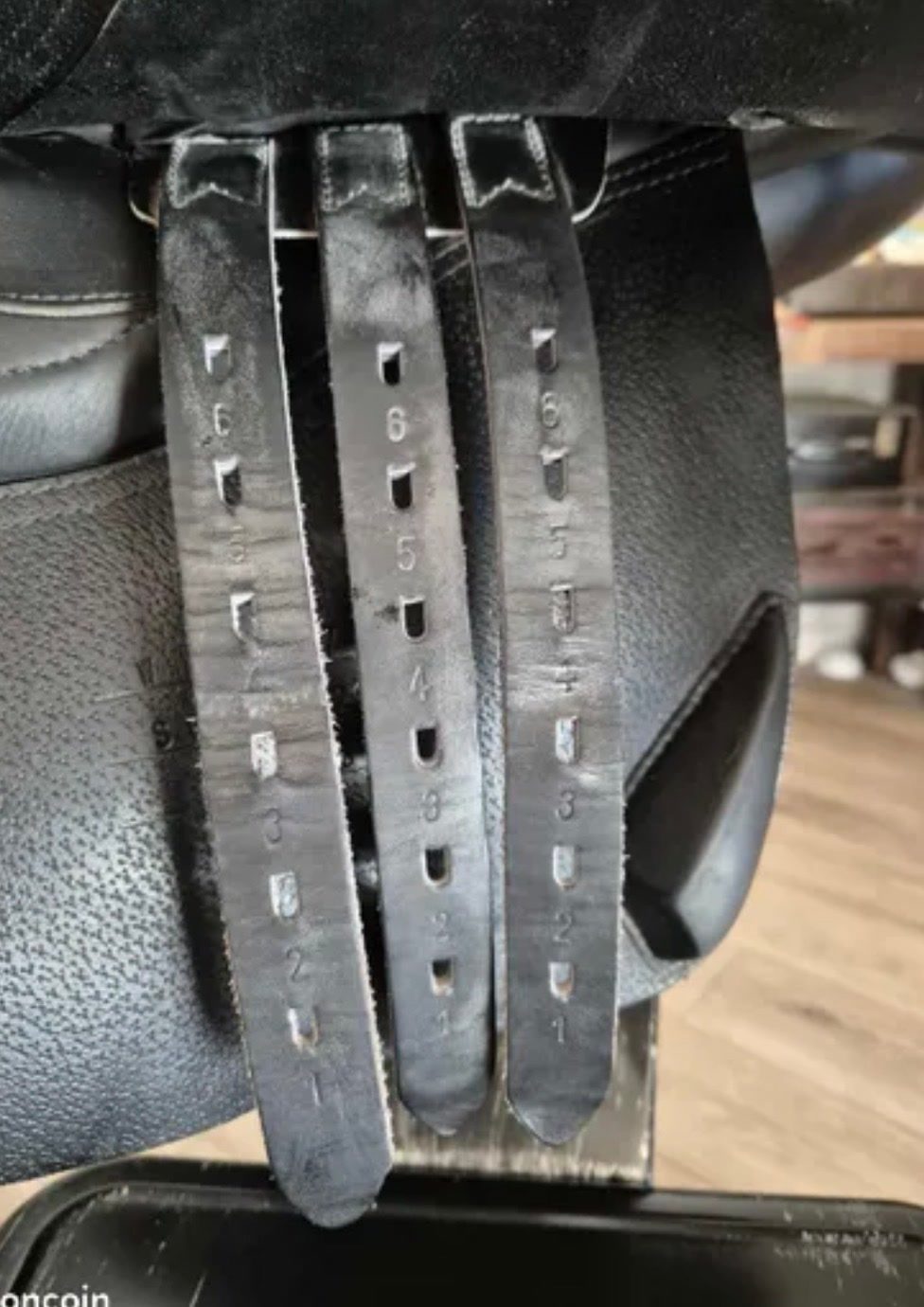 Selle Equiline, média 7