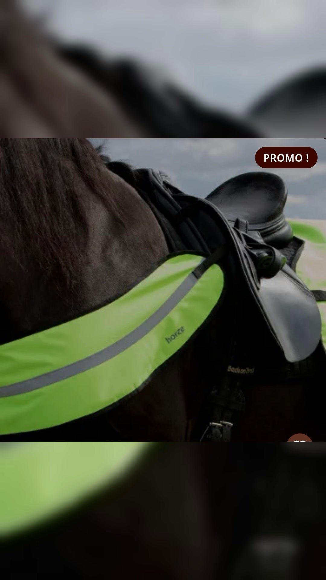 Collier réfléchissant, média 3
