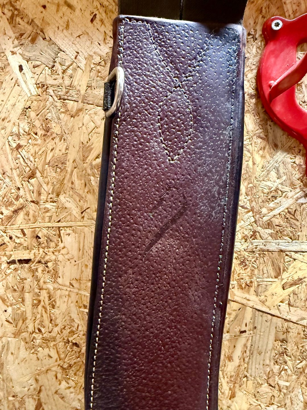 Sangle bavette mousqueton Antares, média 4