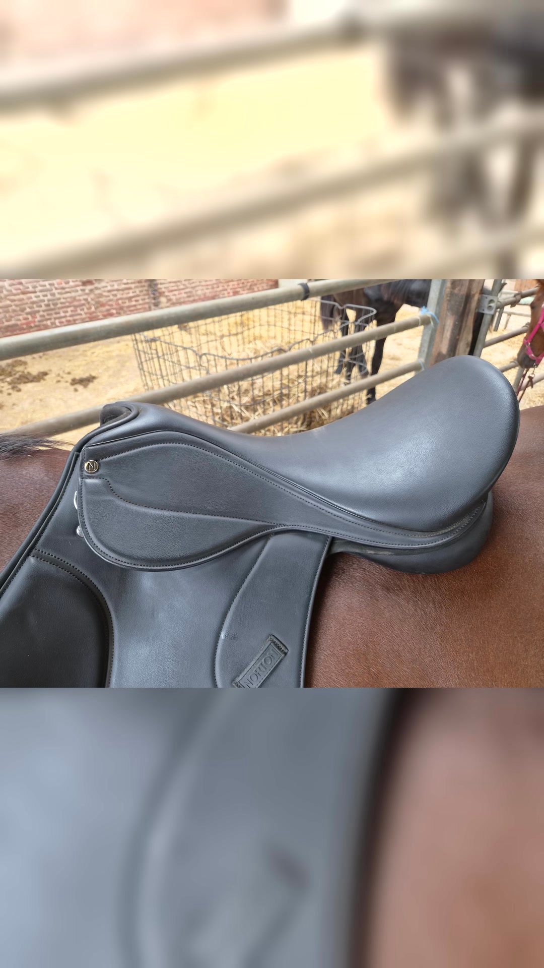 Selle Norton, média 3