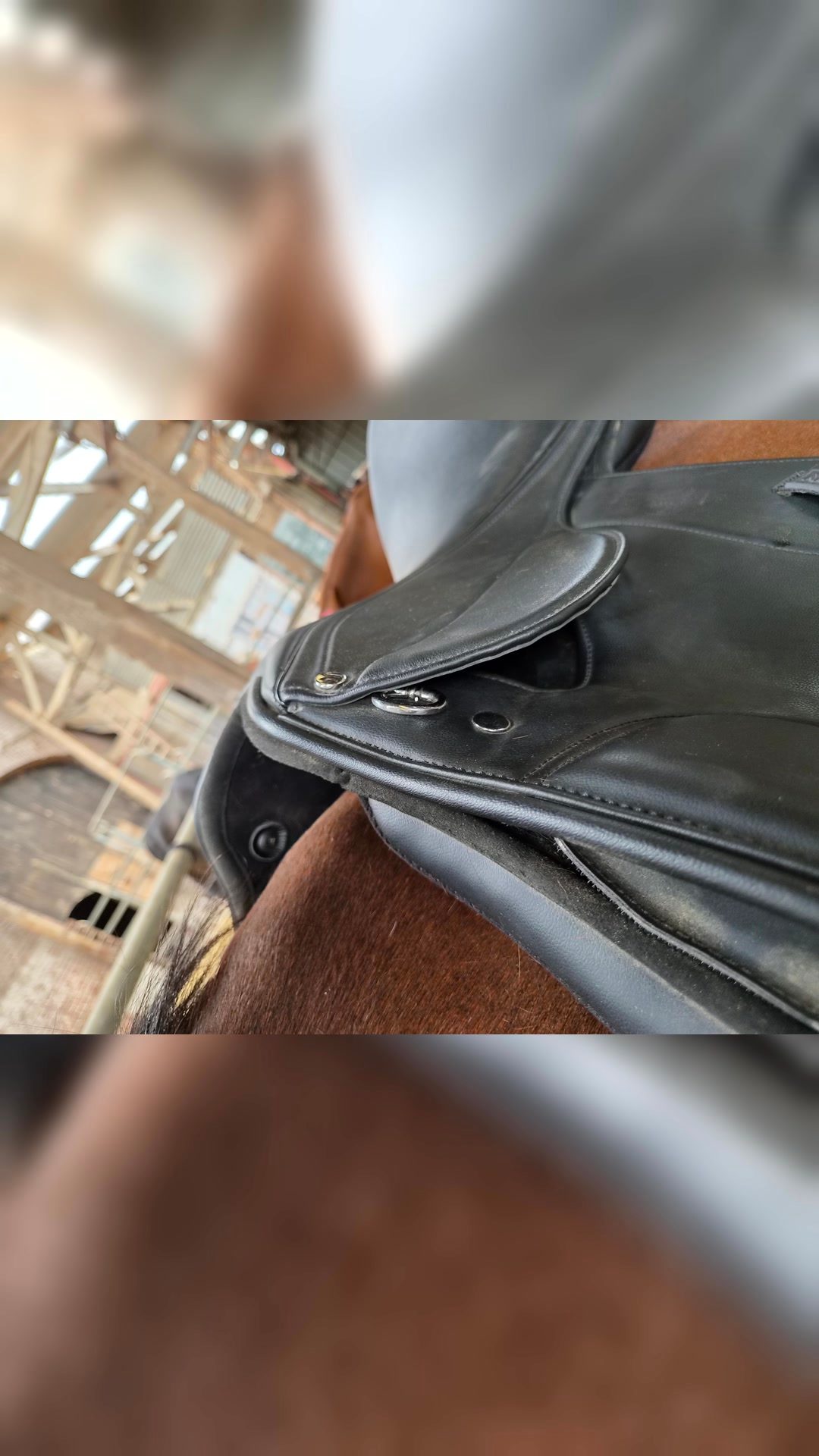 Selle Norton, média 4