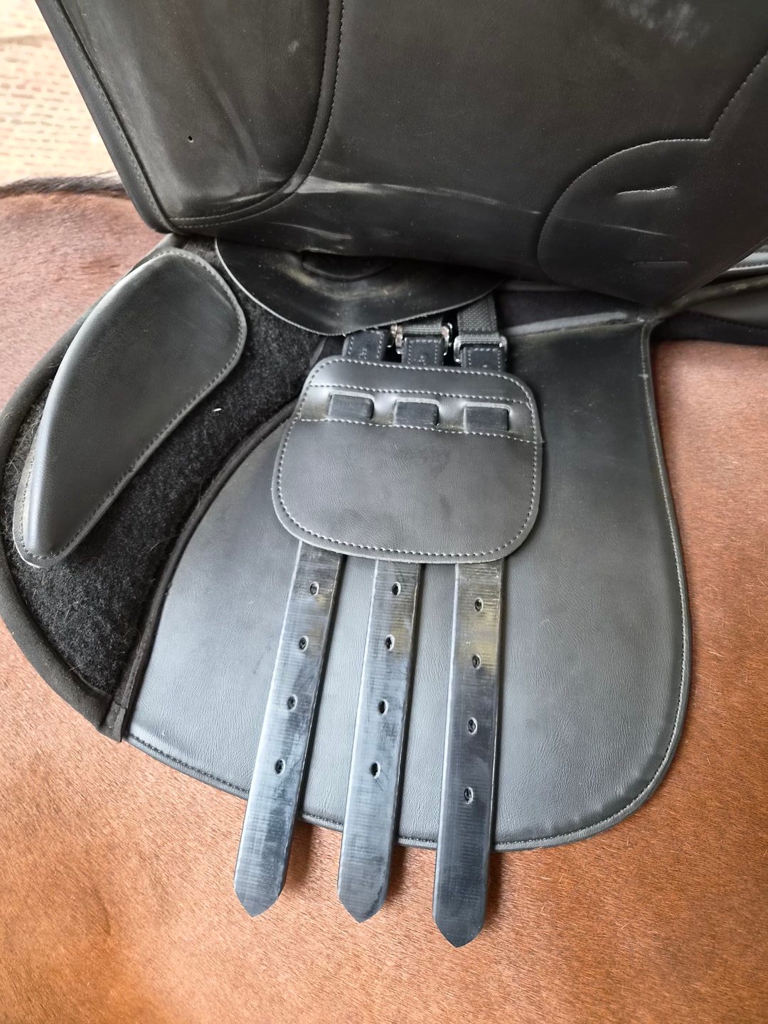 Selle Norton, média 8