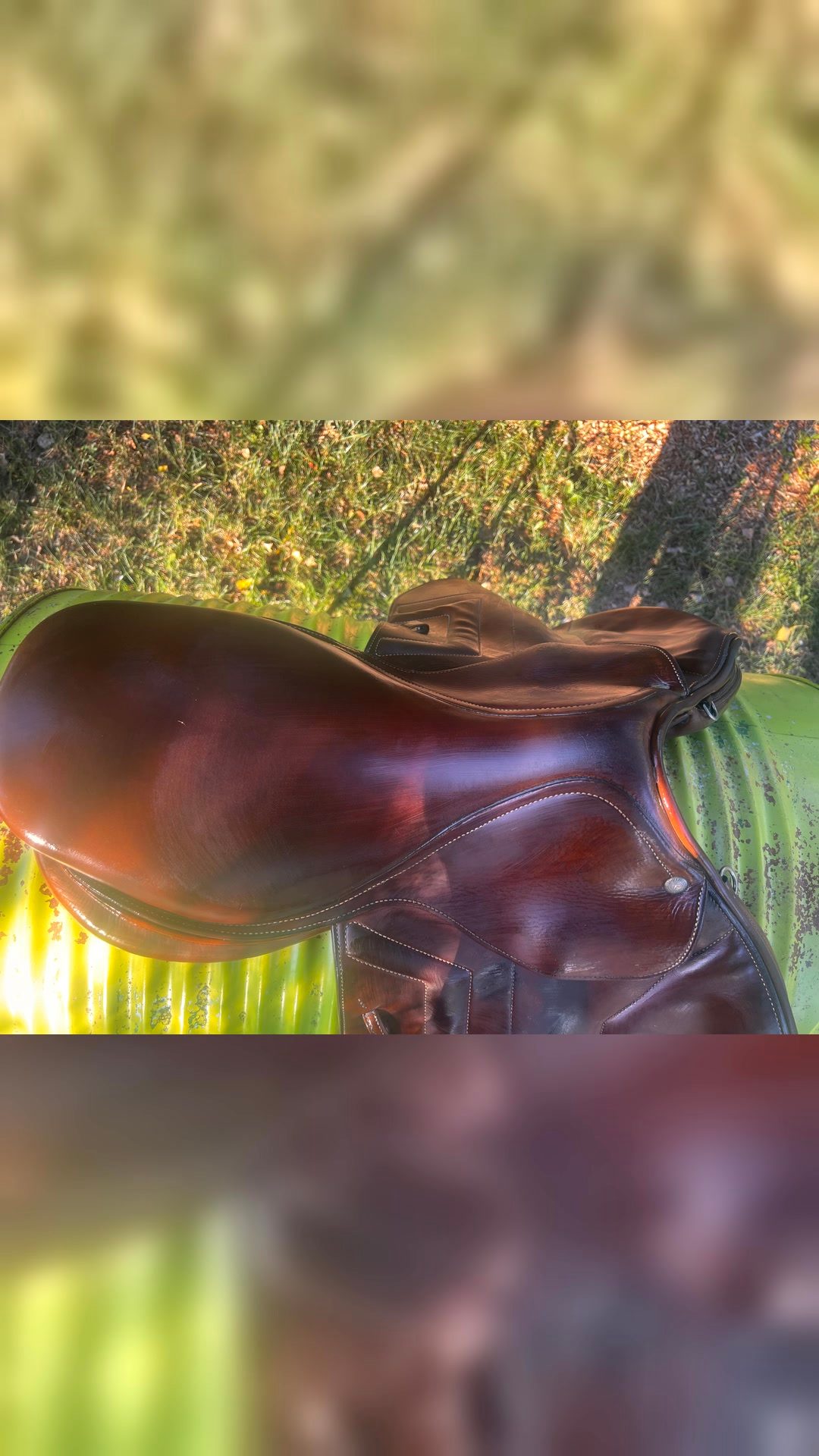 Selle renaissance, média 4