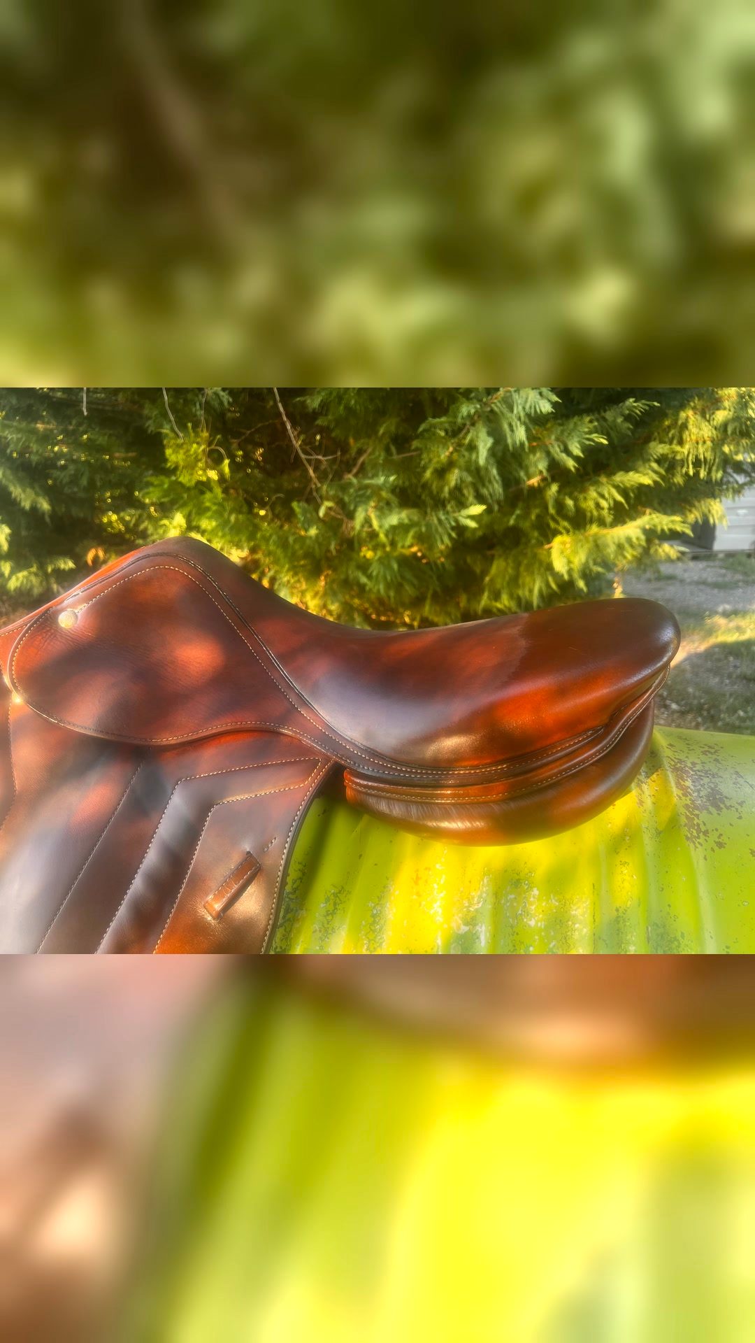 Selle renaissance, média 2