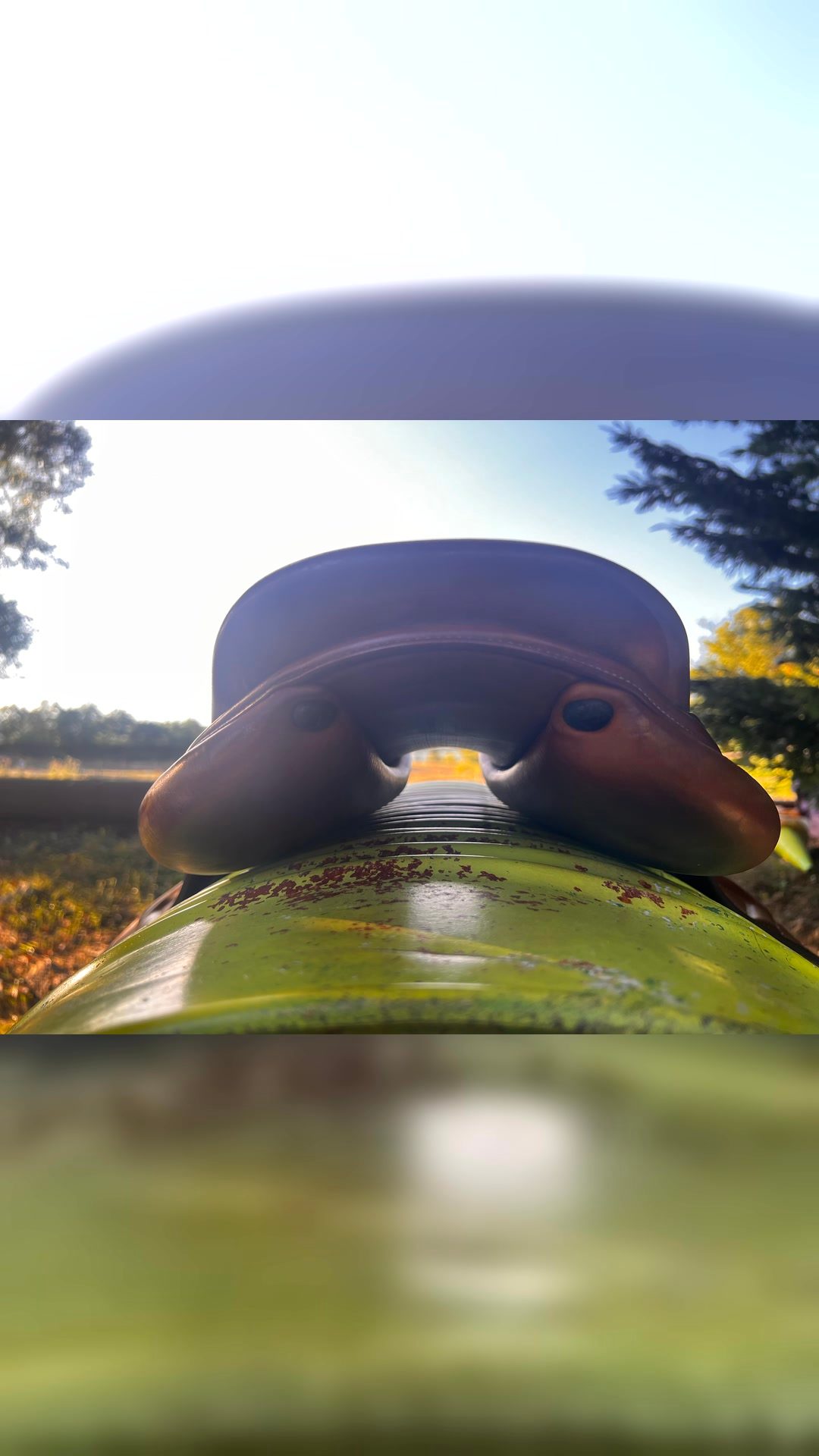 Selle renaissance, média 7