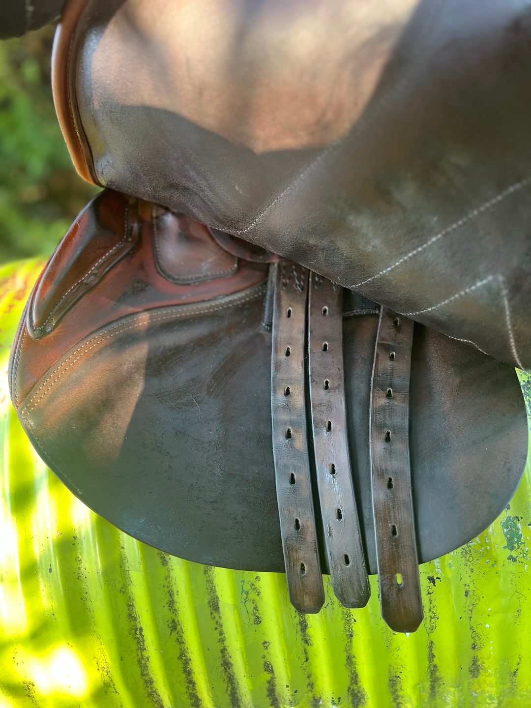 Selle renaissance, média 14