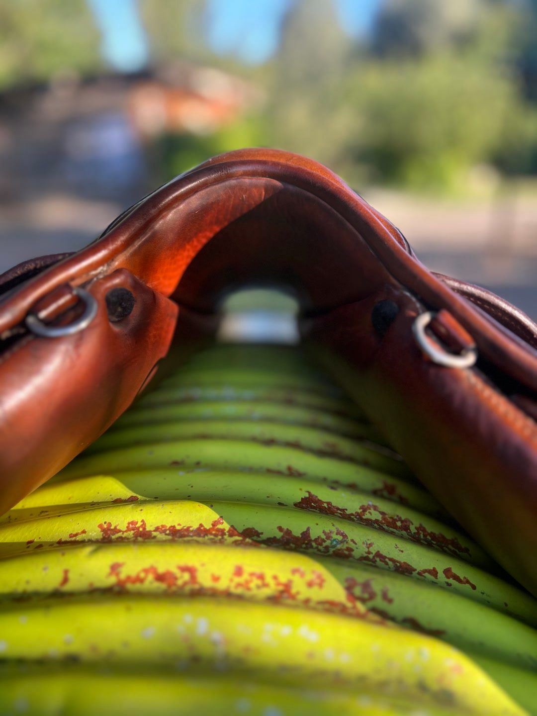 Selle renaissance, média 12