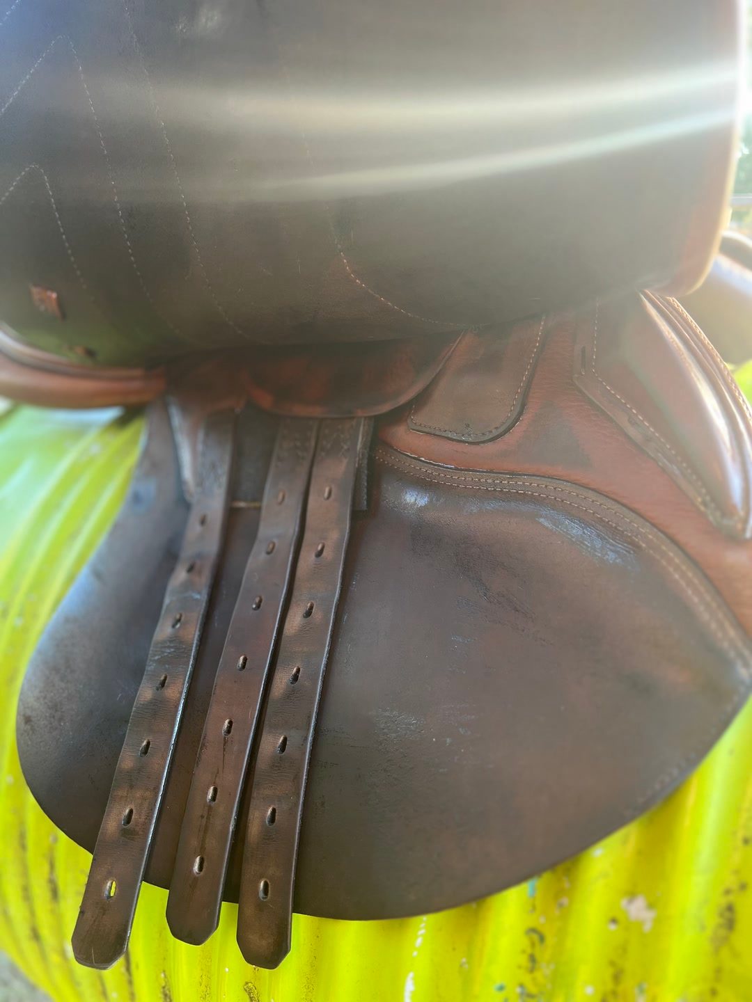 Selle renaissance, média 15