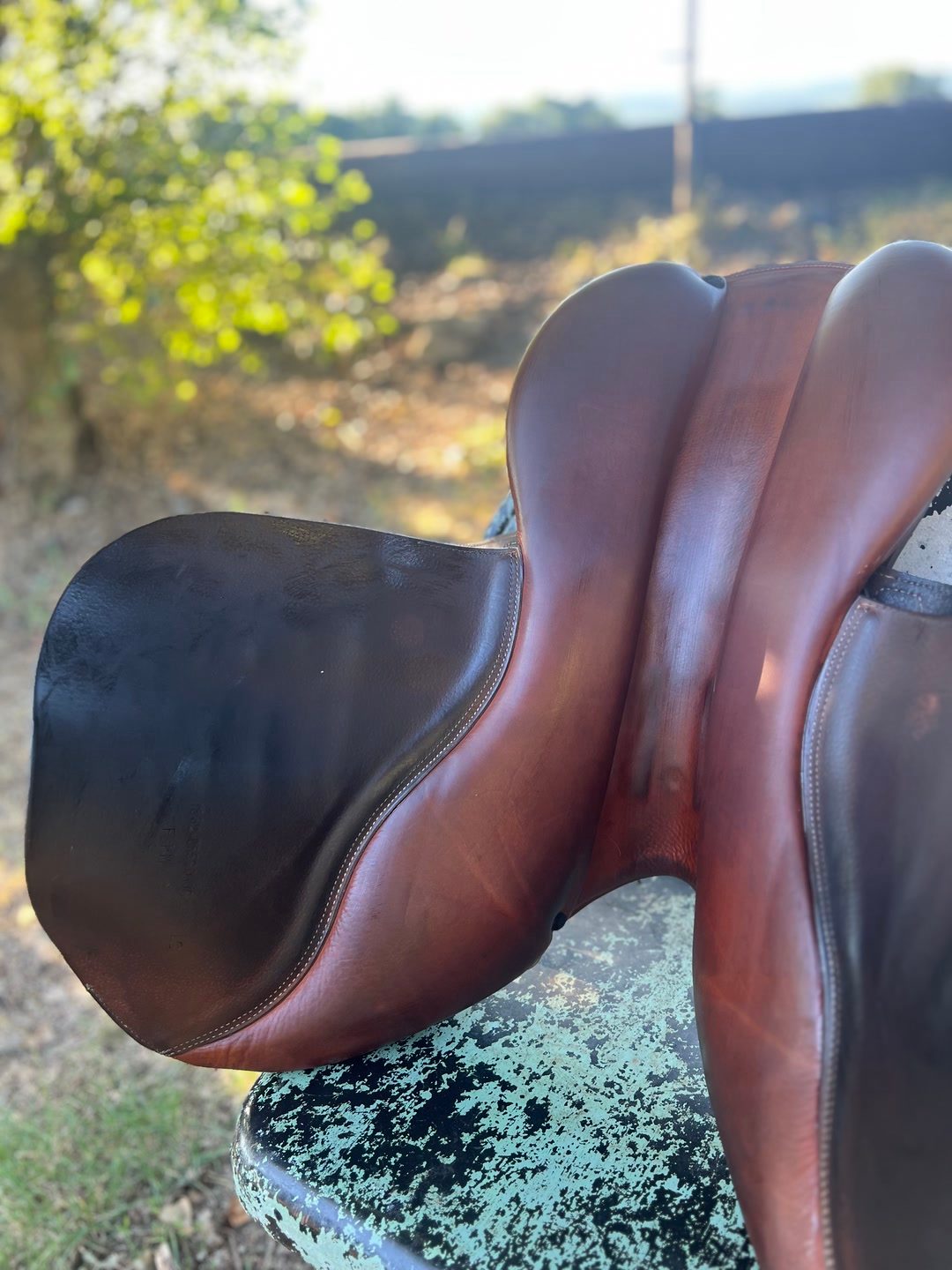 Selle renaissance, média 13