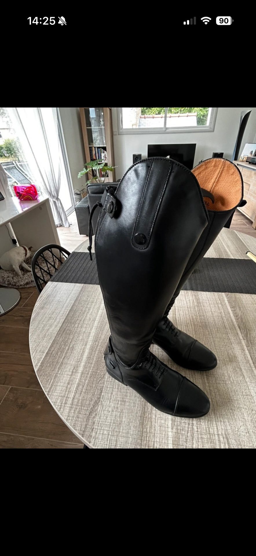 Botte Equitheme Padd, média 4
