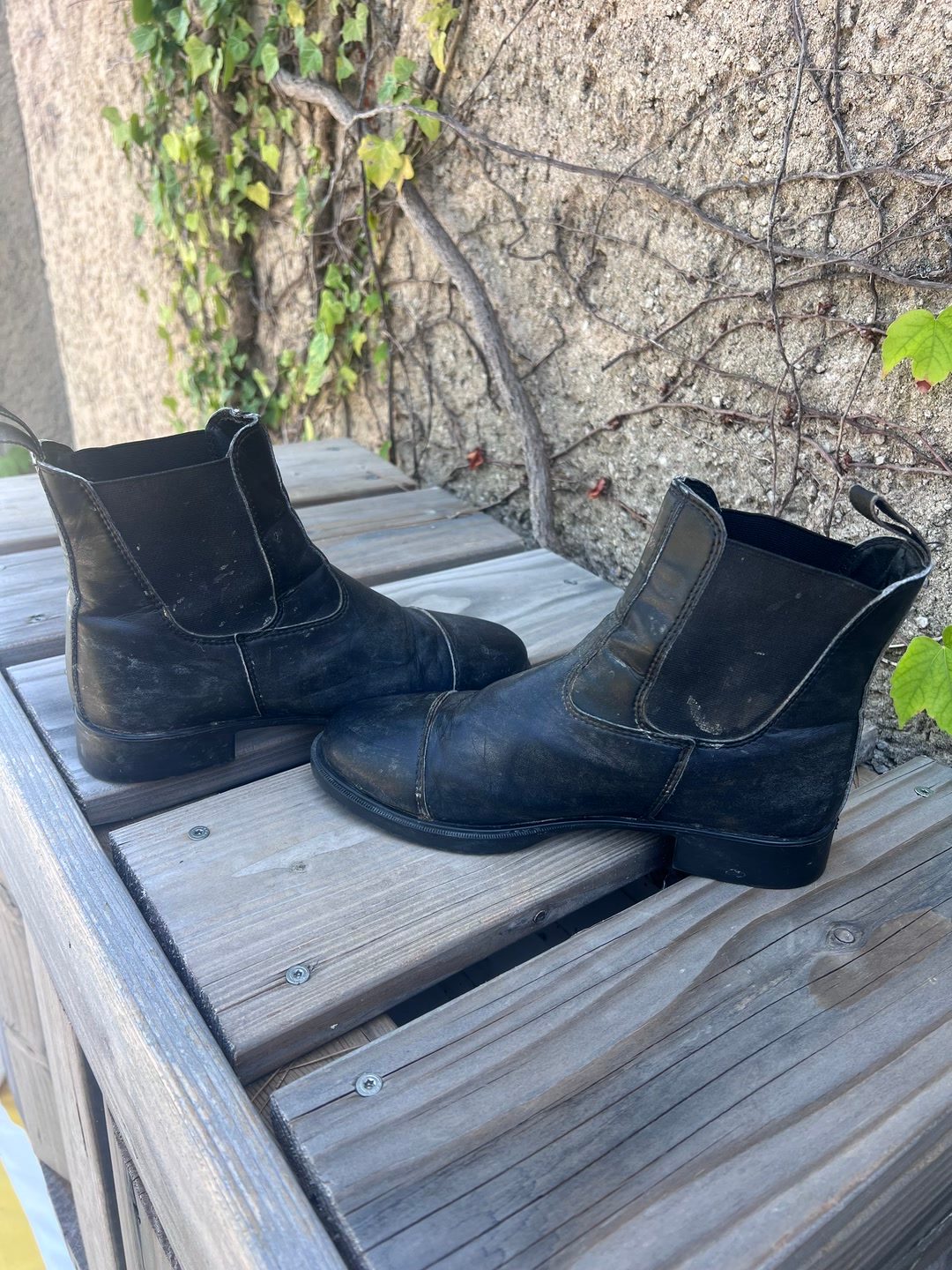 Bottes, RW, 36, média 3