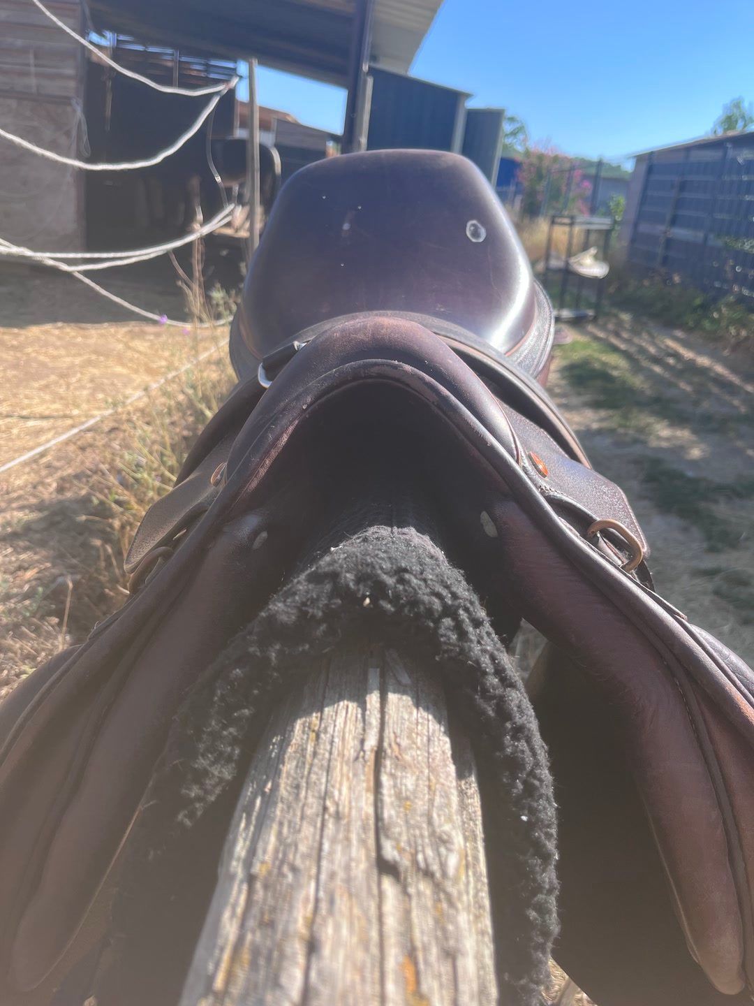 Selle mixte Éric Thomas Fitter, média 5