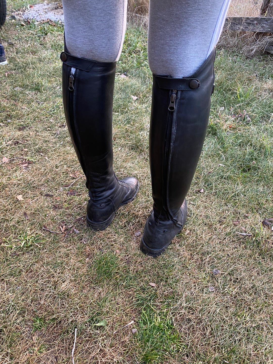 Bottes équitation equiline, média 3