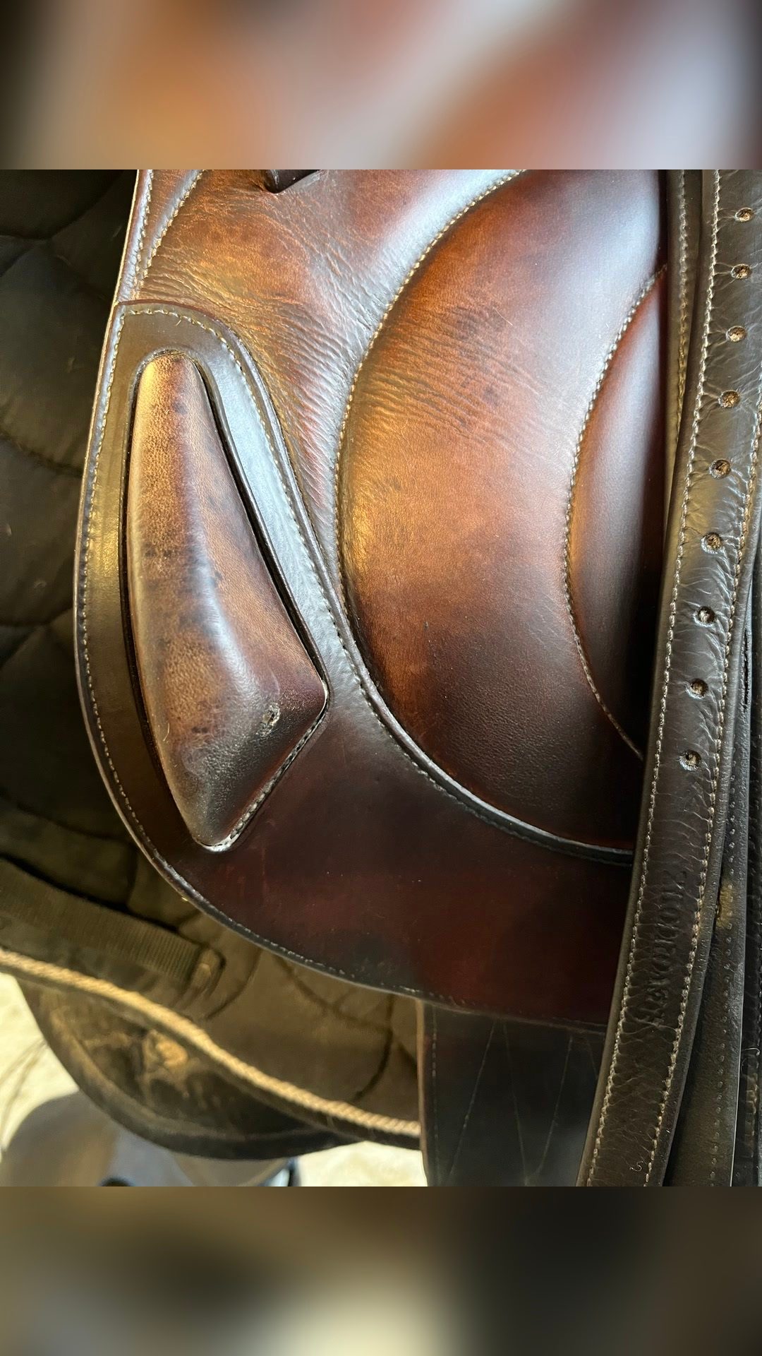Selle antares, média 9