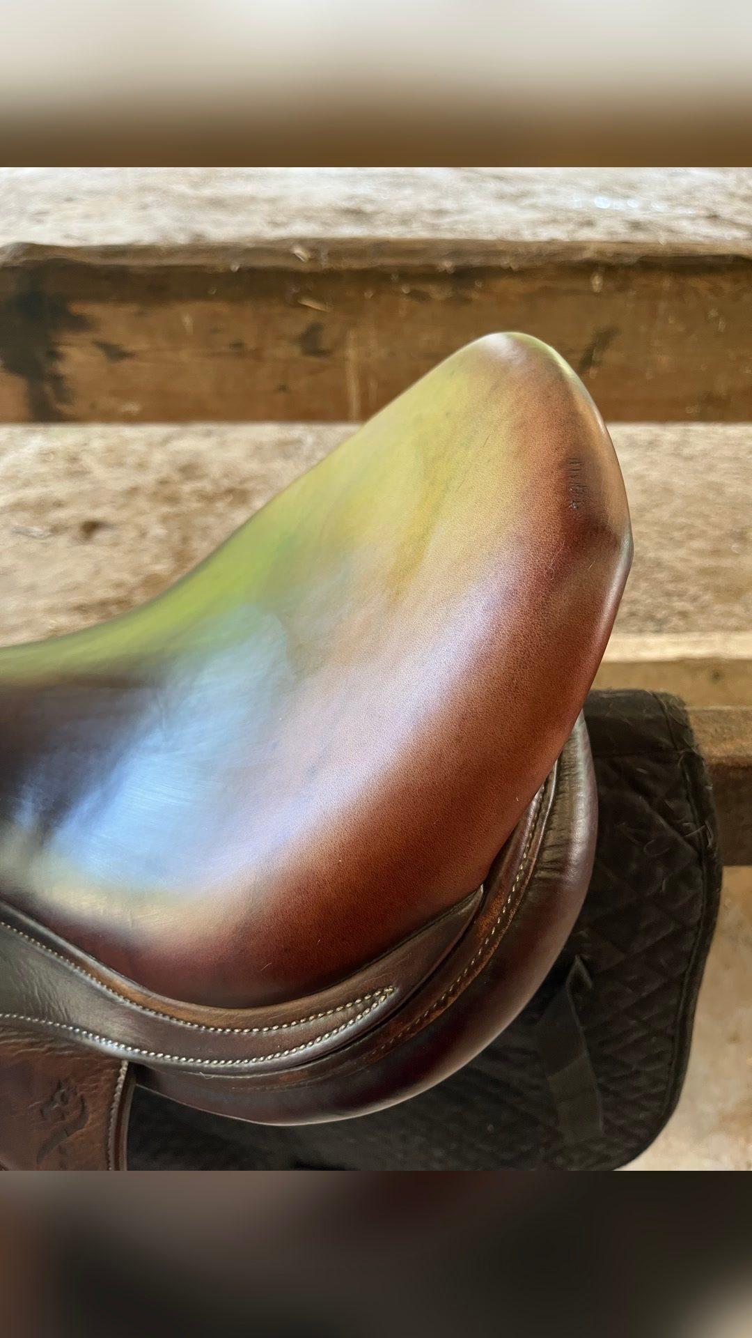 Selle antares, média 7