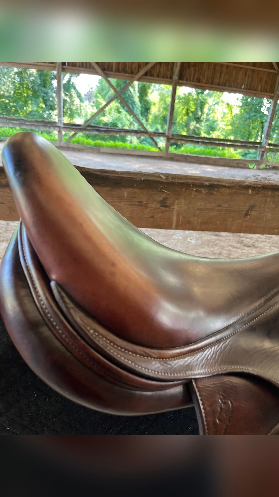 Selle antares, média 6
