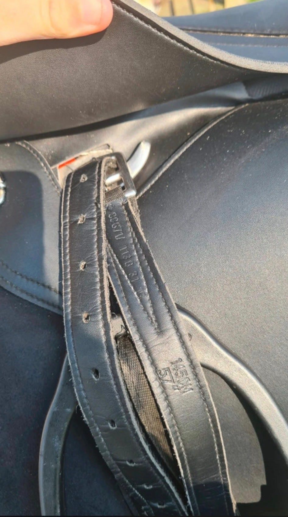 Selle d’équitation, média 8
