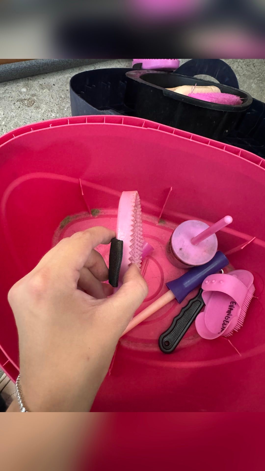 Boîte de pansage et brosses, média 18