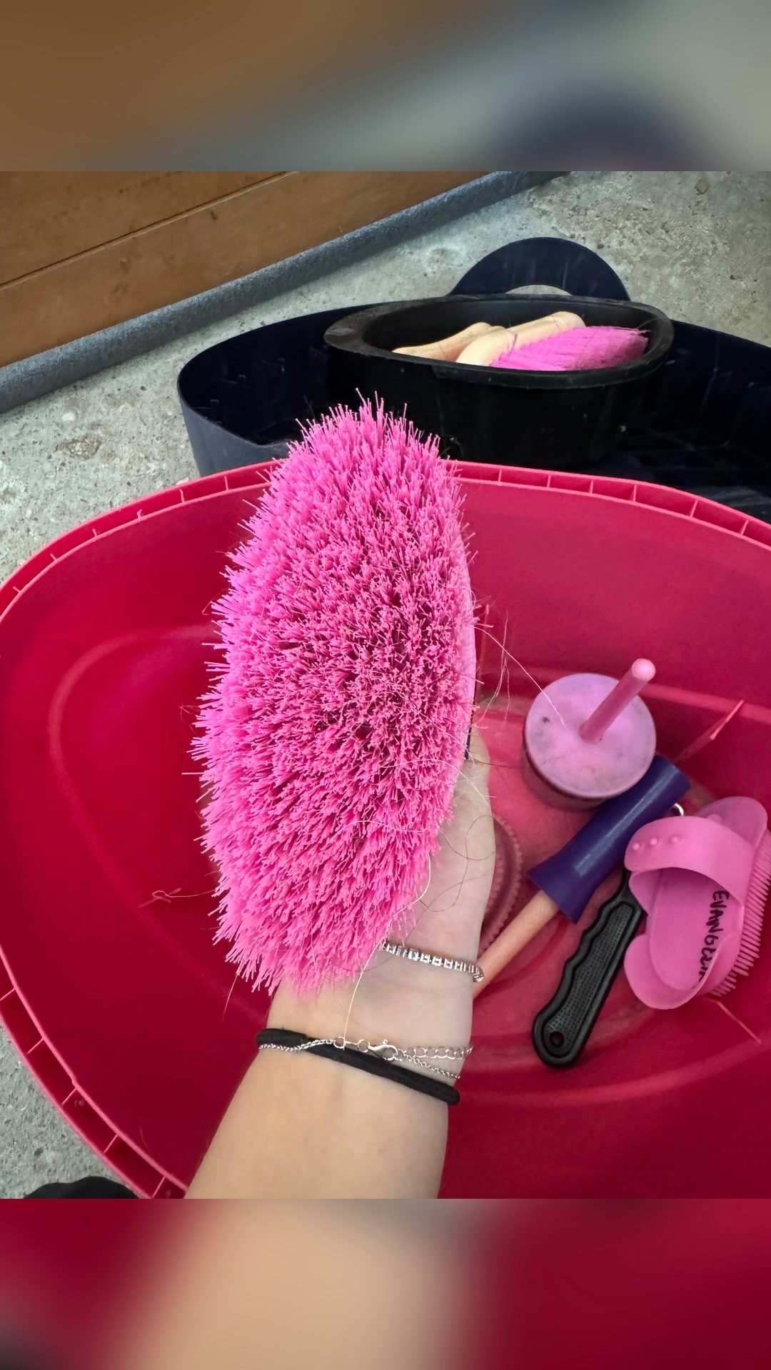 Boîte de pansage et brosses, média 14