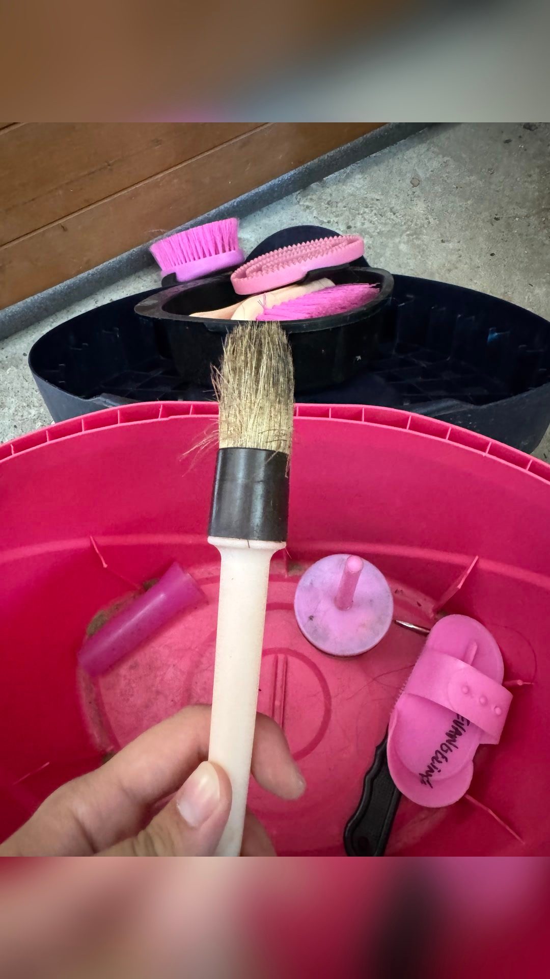 Boîte de pansage et brosses, média 20