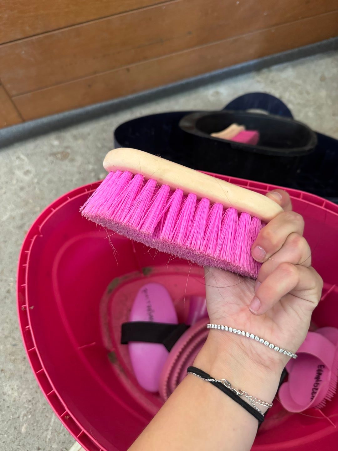 Boîte de pansage et brosses, média 11