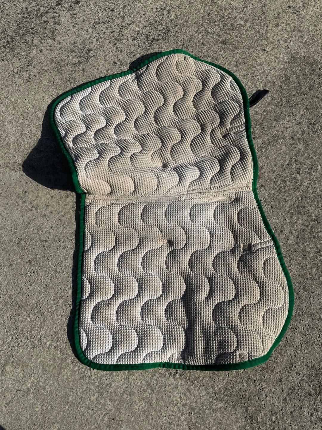 Tapis taille poney, média 2