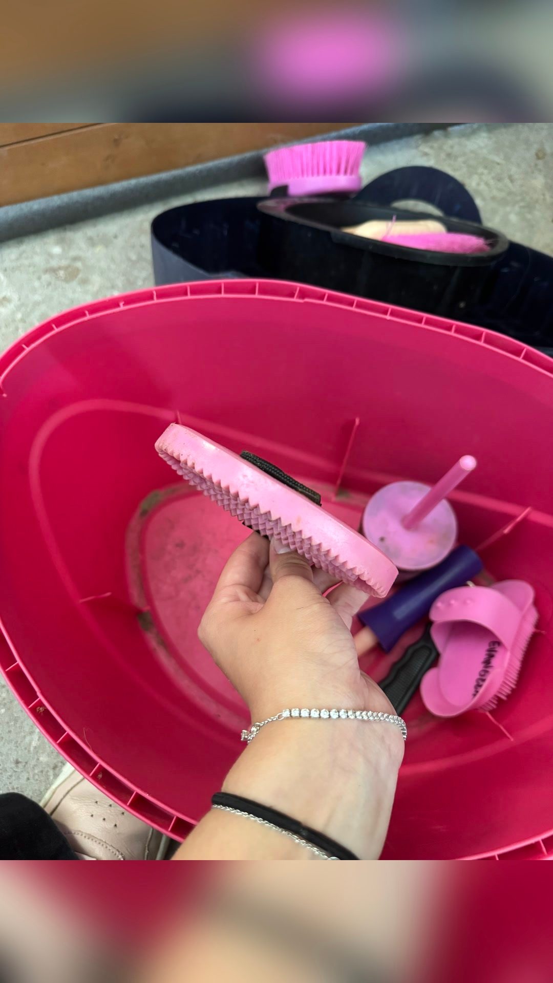 Boîte de pansage et brosses, média 16