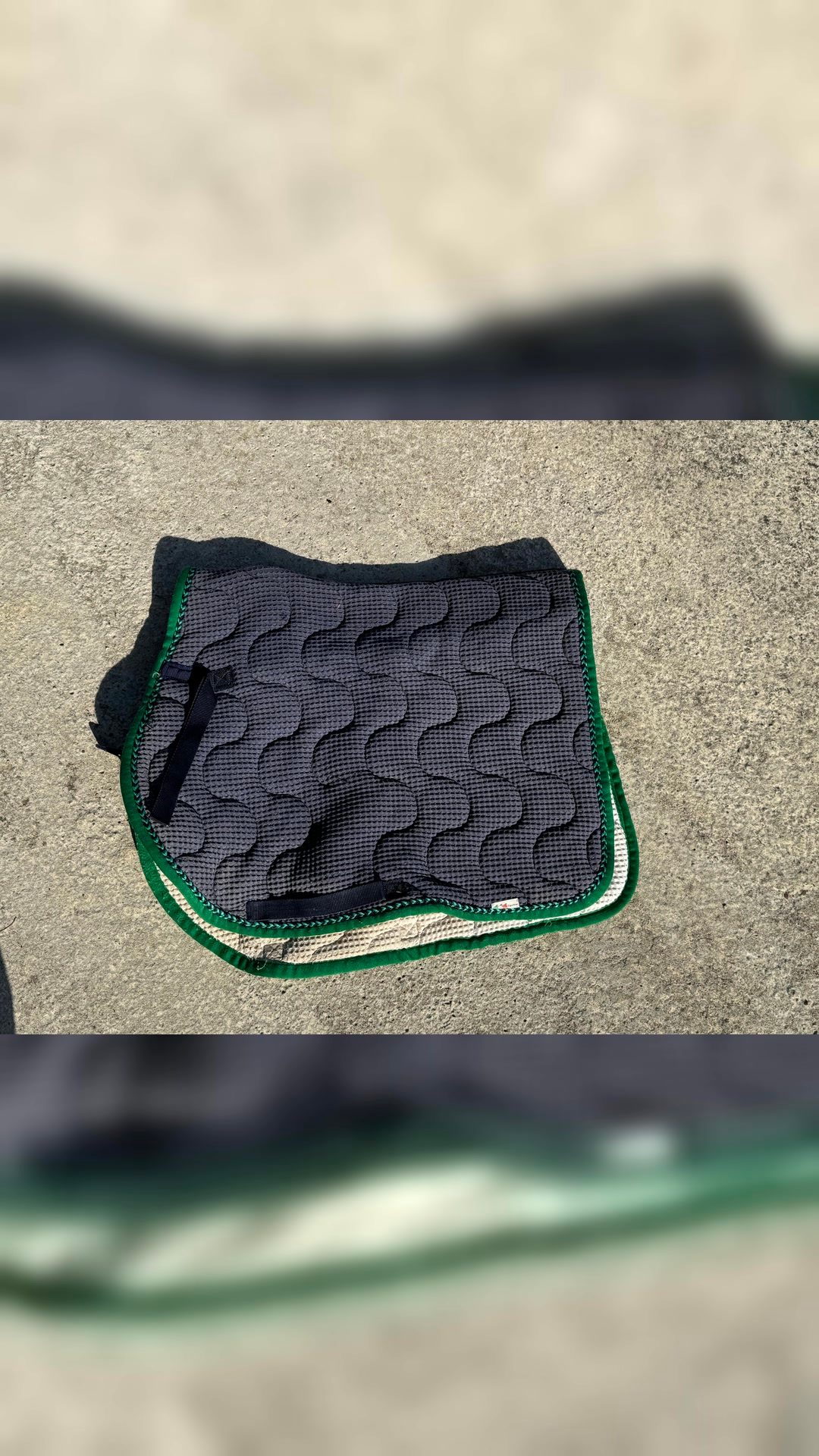 Tapis taille poney, média 3