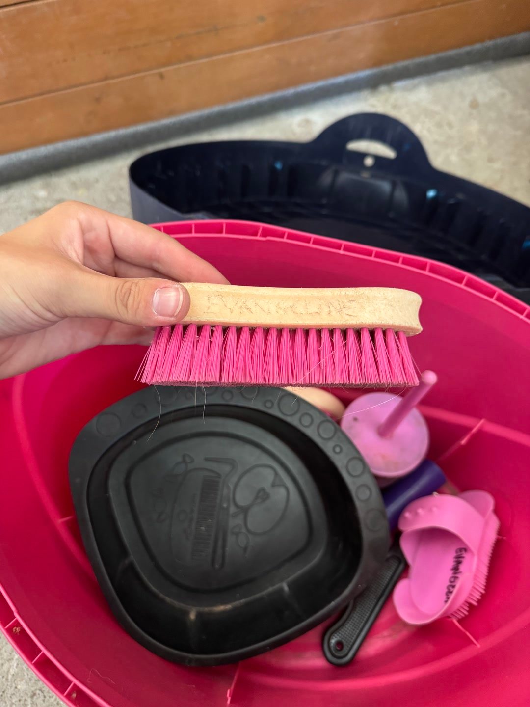 Boîte de pansage et brosses, média 7