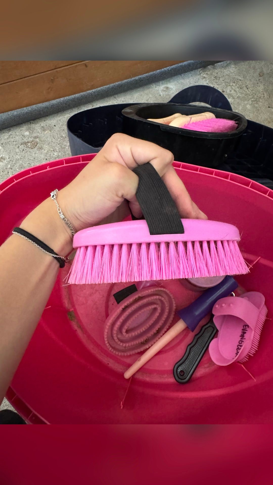 Boîte de pansage et brosses, média 13