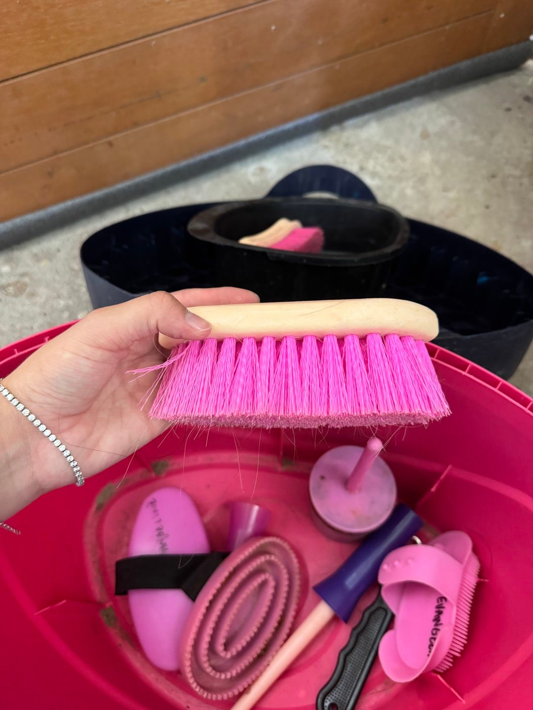 Boîte de pansage et brosses, média 10