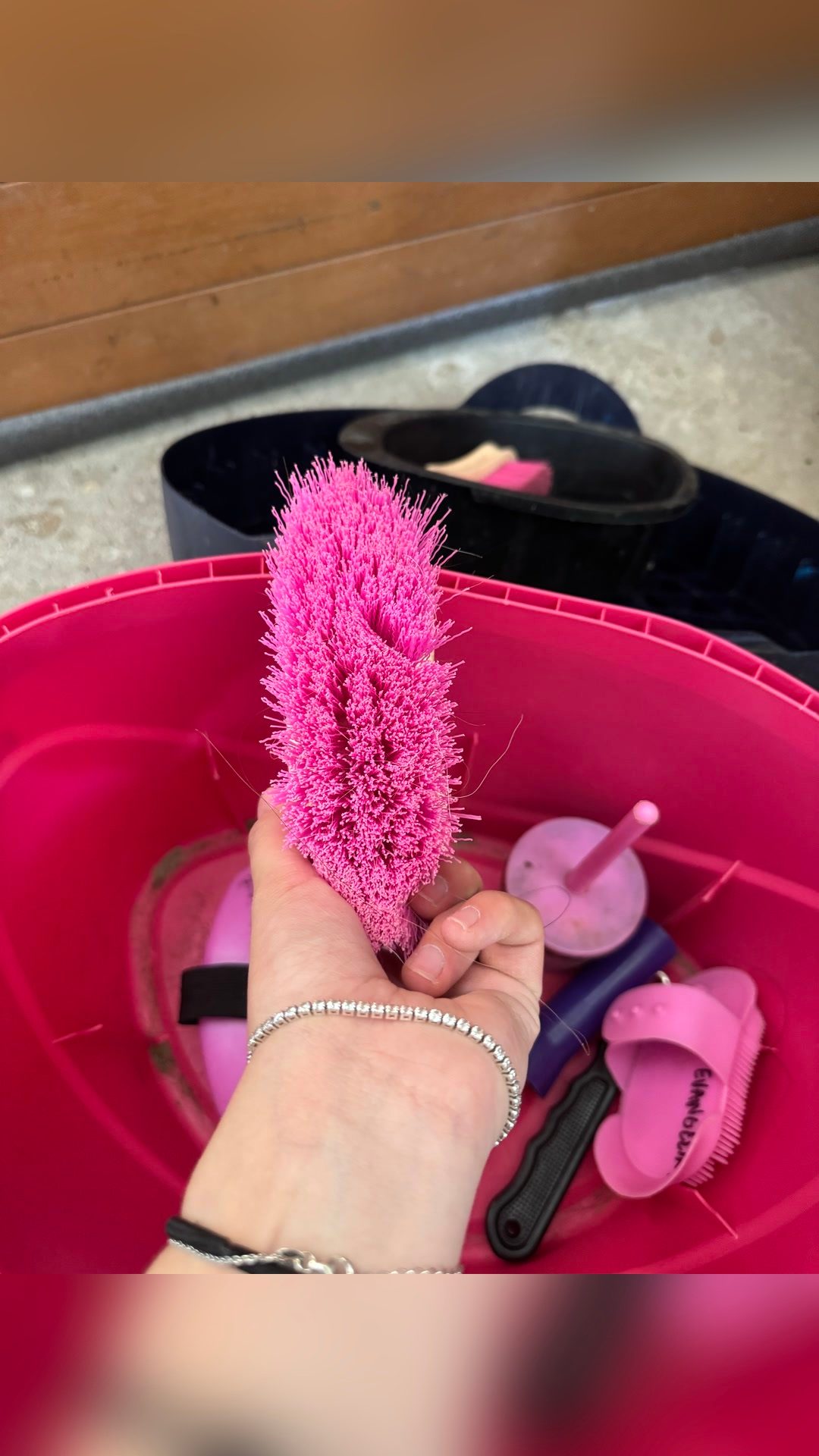 Boîte de pansage et brosses, média 12