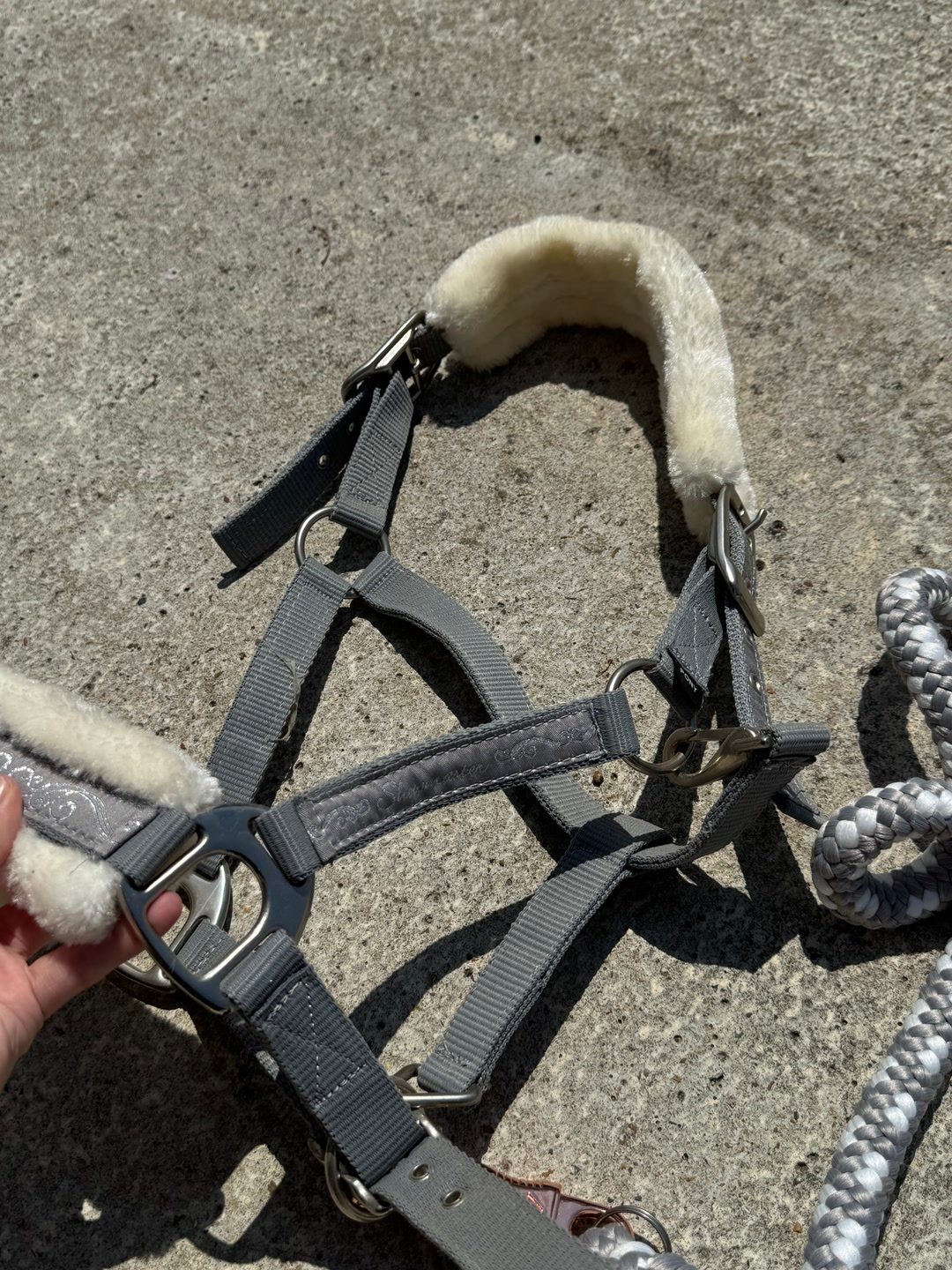 Licol kramer taille poney, média 4