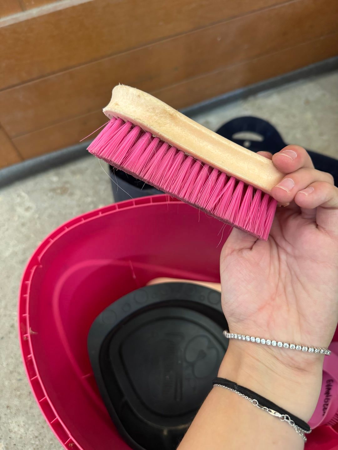 Boîte de pansage et brosses, média 6