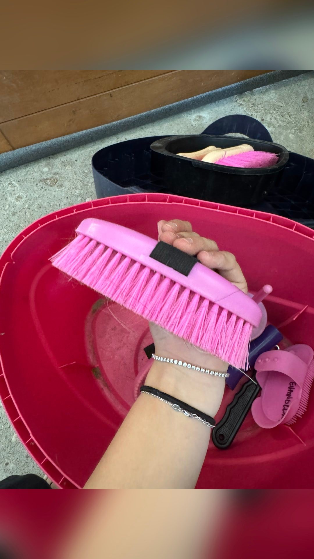 Boîte de pansage et brosses, média 15