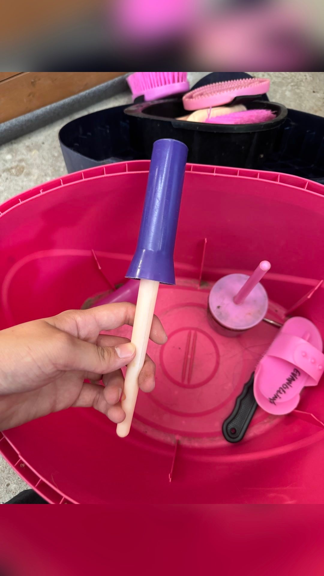 Boîte de pansage et brosses, média 19