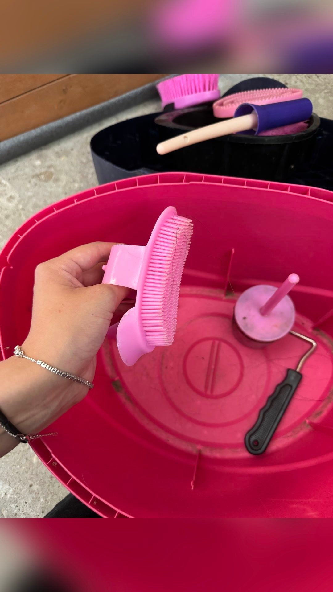 Boîte de pansage et brosses, média 22