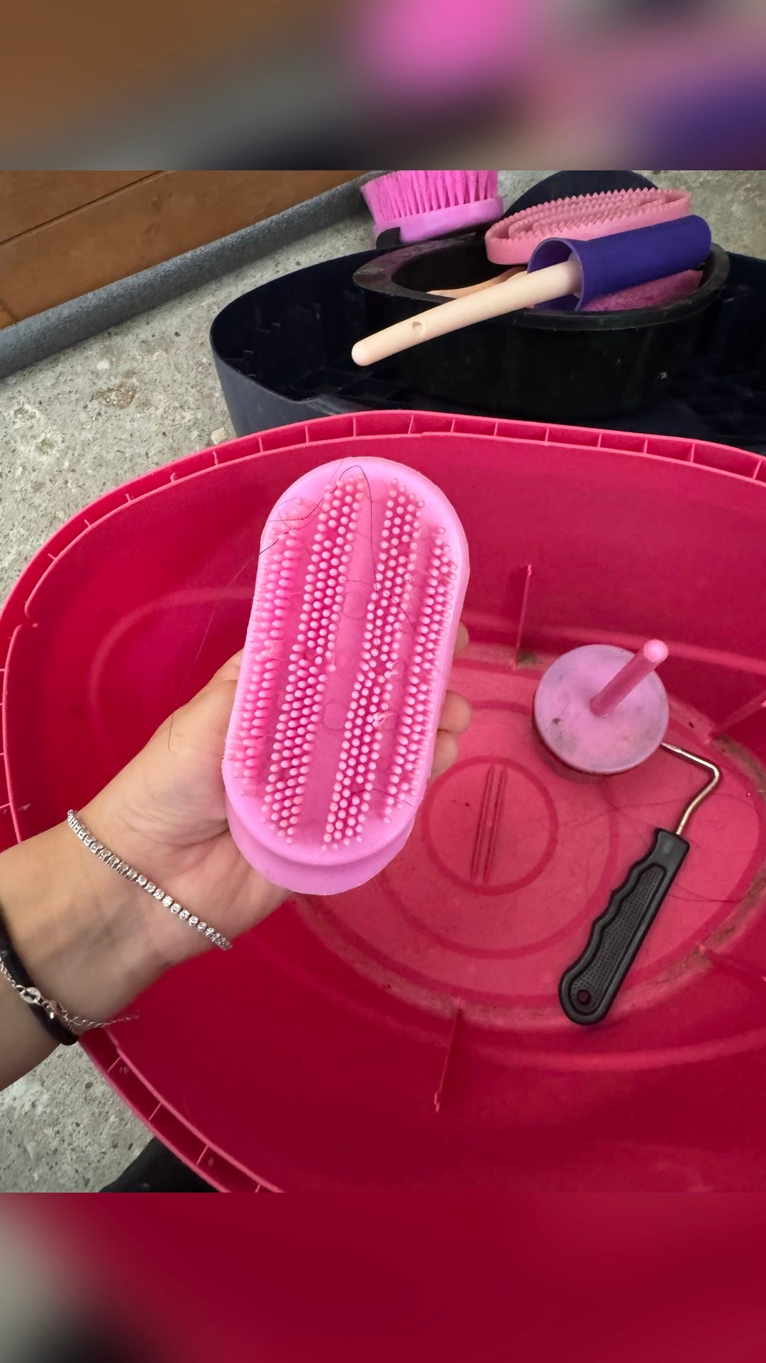 Boîte de pansage et brosses, média 21