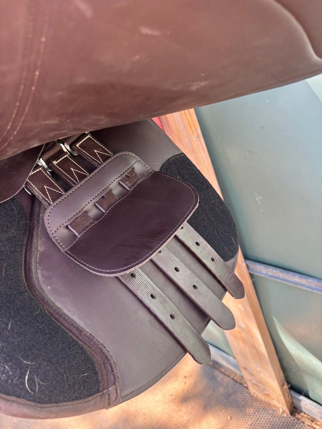 Selle Norton, média 5