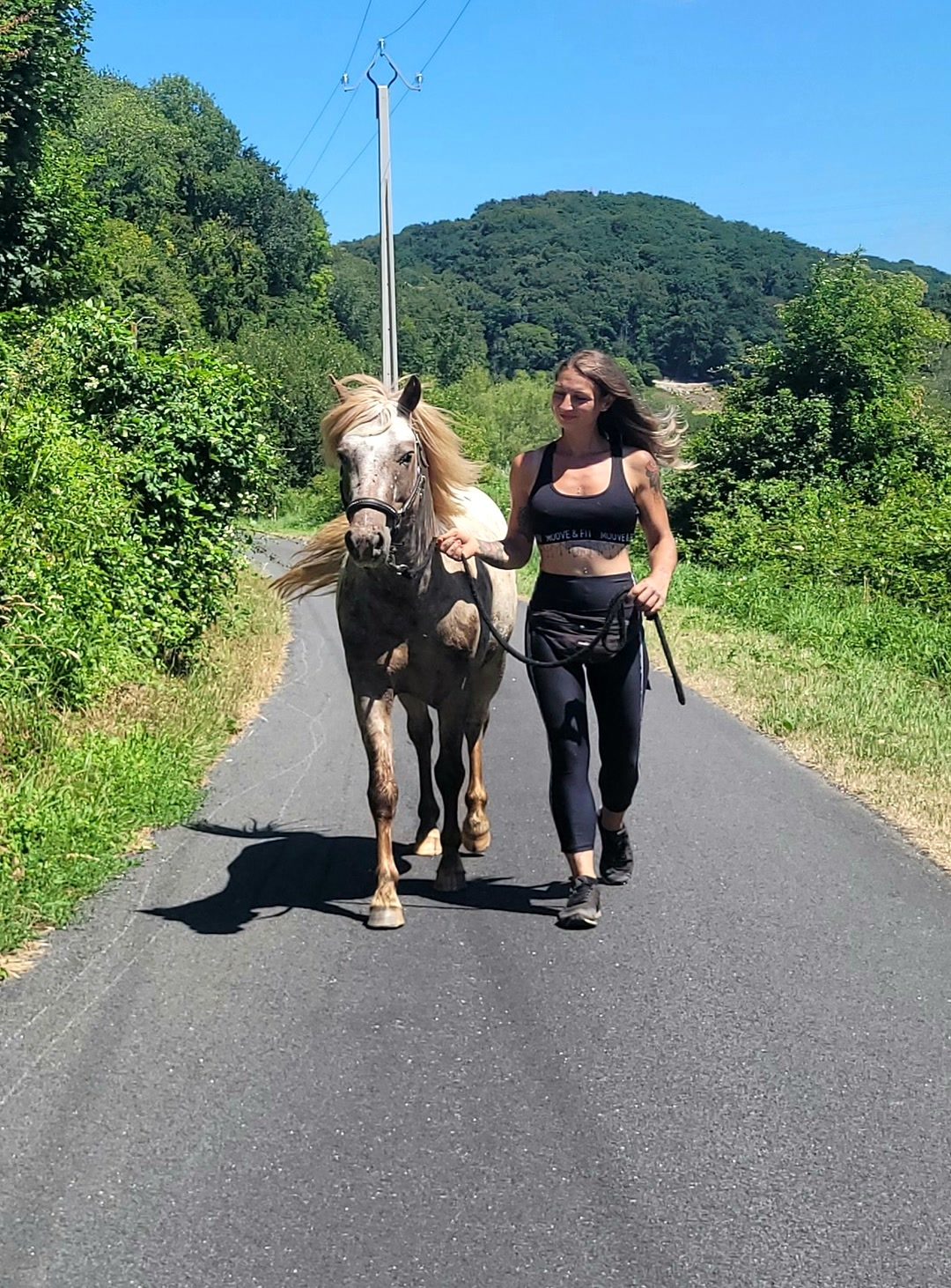 Saillie etalon poney appaloosa, média 2
