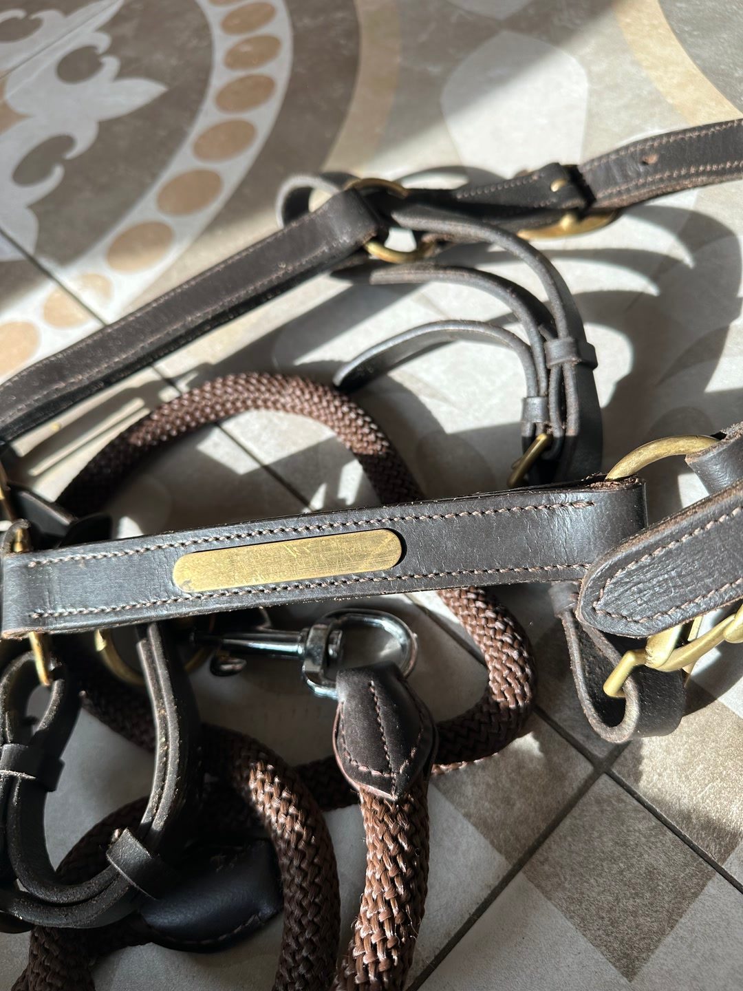 licol en cuir marron PADD, média 4