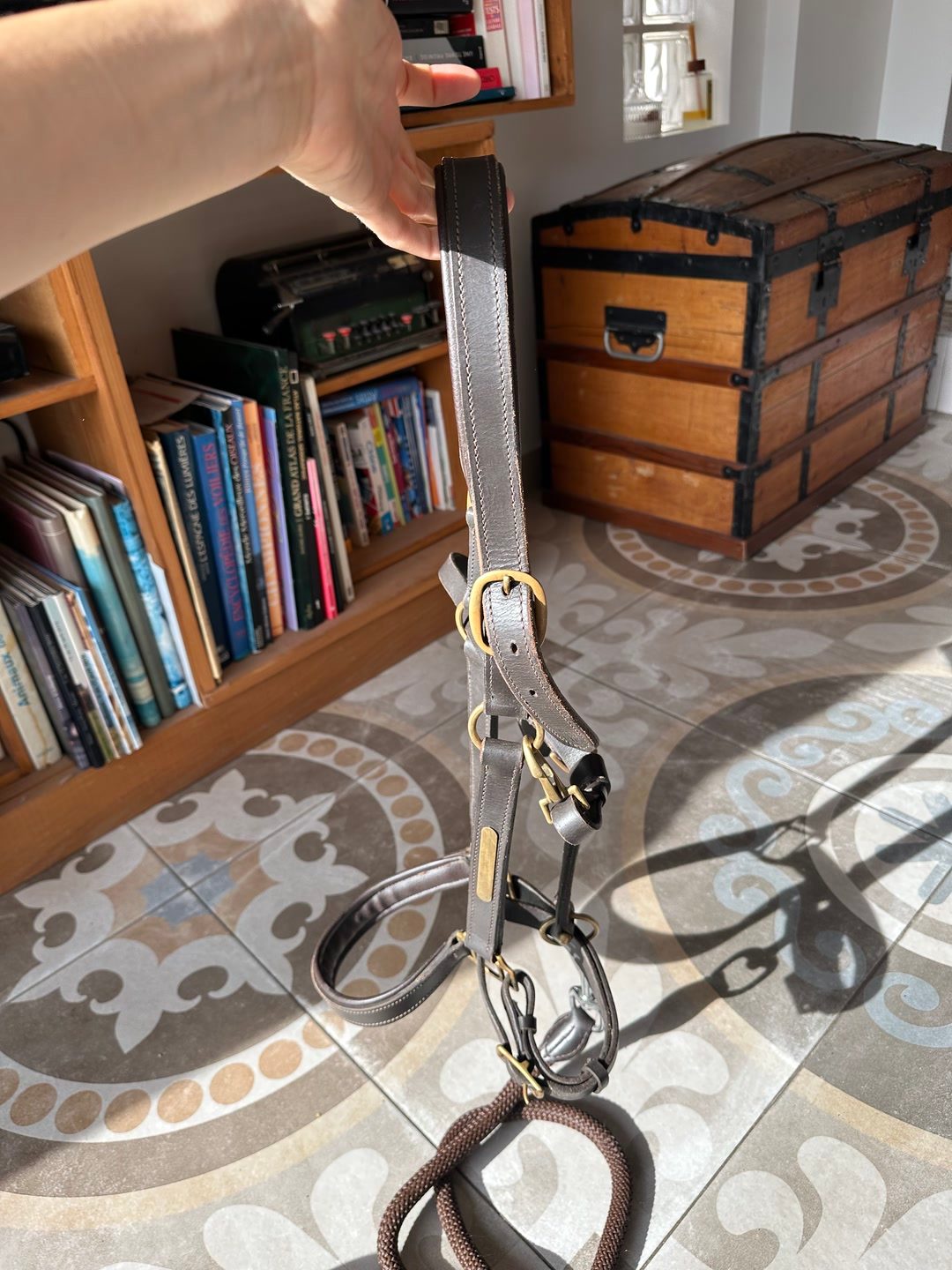 licol en cuir marron PADD, média 5